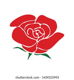 Hand drawn rose vector. rose flower illustration.