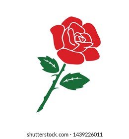 Hand drawn rose vector. rose flower illustration.