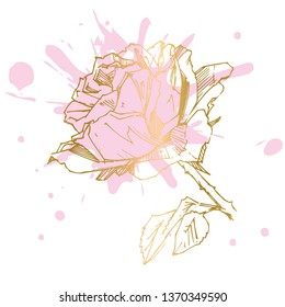 Hand drawn rose. Vector illustration. Vintage tattoo style rose. Flower motif sketch for design. Ink illustration isolated.