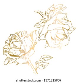 Hand drawn rose. Vector illustration. Vintage tattoo style rose. Flower motif sketch for design. Ink illustration isolated.