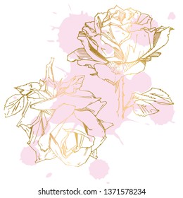 Hand drawn rose. Vector illustration. Vintage tattoo style rose. Flower motif sketch for design. Ink illustration isolated.