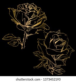 Hand drawn rose. Vector illustration. Vintage tattoo style rose. Flower motif sketch for design. Ink illustration isolated.