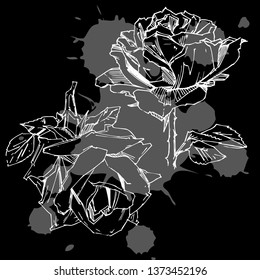 Hand drawn rose. Vector illustration. Vintage tattoo style rose. Flower motif sketch for design. Ink illustration isolated.