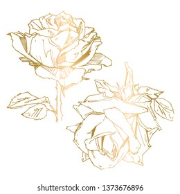 Hand drawn rose. Vector illustration. Vintage tattoo style rose. Flower motif sketch for design. Ink illustration isolated.