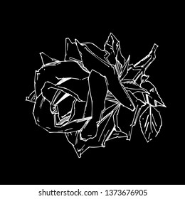 Hand drawn rose. Vector illustration. Vintage tattoo style rose. Flower motif sketch for design. Ink illustration isolated.