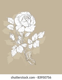 hand drawn rose vector illustration