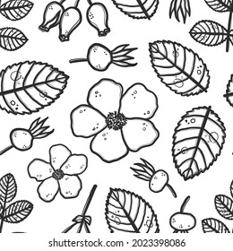 Hand drawn rosehip vector seamless pattern. Grunge stylized leaf, flowers and berries on white background. Engraved medical herbs. Wrapping paper, wallpaper, textile design