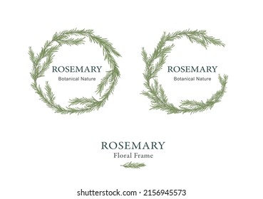 Hand Drawn Rosemary Floral Frame Background Stock Vector (Royalty Free ...