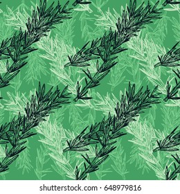 Hand drawn rosemary pattern. Organic spice and in engraving style. Vector vintage illustration. Black and white elements on green background.