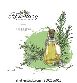 Hand drawn rosemary plant banner with text,colored sketch vector illustration. Aromatic rosemary herb branches with leaves and flowers. Essential oil bottle with engraving texture.