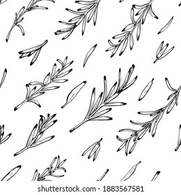 Patrón sin fisuras de Rosemary. Tinta de época Patrón de hojas de Rosemary. Sencilla y elegante ilustración monocromática de vectores herbales en blanco y negro.  Textura sin fin. Fondo botánico