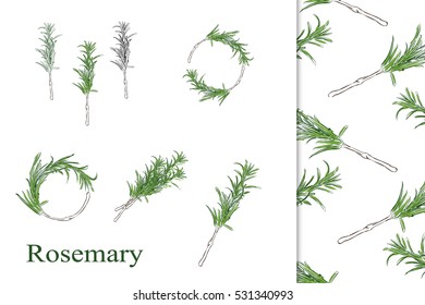 Hand drawn Rosemary sprigs, wreaths and laurels. Perfect for wedding invitations, stationery design, blogs, websites etc.