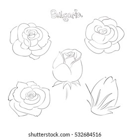 Hand drawn roses of Bulgaria vector illustration.