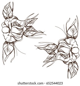 Hand drawn roses. Floral design element. Outline vector illustration for posters, coloring page and other items.