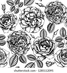Hand drawn Roses. Floral seamless pattern. Black flowers, leaves, branches and bugs on white background. Engraving style. Botanical vector art. Perfect for textile, wrapping paper or gift box design.
