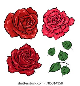 Hand drawn roses and leaves isolated on white background. Vector illustration in tattoo style.