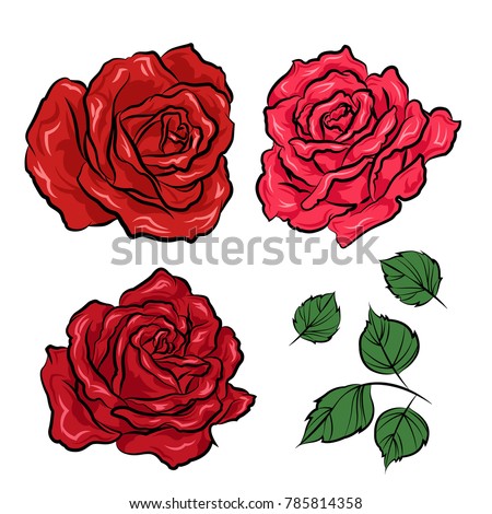 Hand Drawn Roses Leaves Isolated On Stock Vector Royalty Free