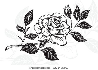 Hand drawn roses and leaves vintage flower clipart composition decorative illustration in graphic
