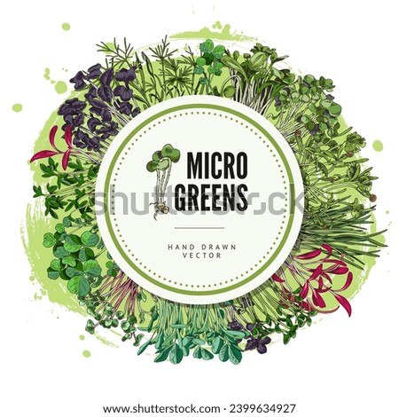 Hand drawn round decorative frame with different micro-green sprouts sketch style, vector illustration isolated on white background. Design element, natural organic plants, healthy food