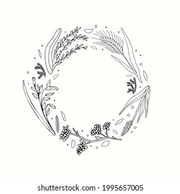 Hand drawn round frame with empty space. Grains plants and cereal rye barley and wheat ear spikes. Vector sketch illustration for food package design template, engraving food. 