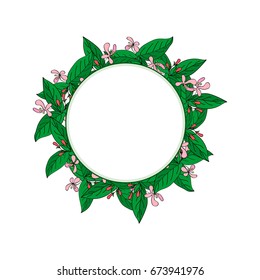 Hand drawn round green frame of Tatar honeysuckle. herbal border with pink flowers and green leaves for your artwork