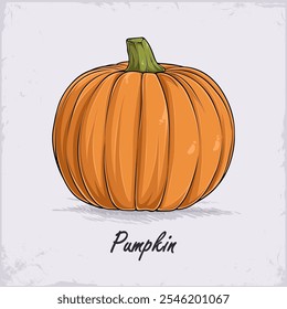 Hand drawn round orange big pumpkin full of vitamins, good for heart and skin health, immune system