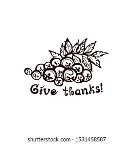 Hand drawn rowan with handwritten text isolated on white background. Inscription: Give Thanks