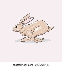 hand  drawn running Cute Rabbit Illustration, Hand drawn Style, isolated Vector