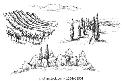 Hand drawn rural scene fragments with vineyard, hills, road and trees. Monochrome rustic landscape illustration. Vector sketch.