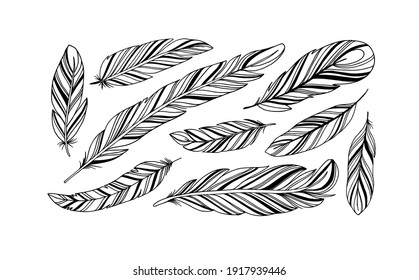 Hand drawn rustic ethnic decorative feathers. Tribal bird feathers collection. Vector ink illustration isolated on white background. Black and white geometric ornament, graphic design element.