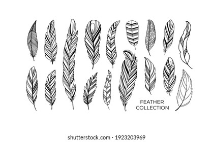 Hand drawn rustic ethnic decorative feathers. Tribal bird feathers collection. Vector ink illustration isolated on white background. Black and white geometric ornament, graphic design element.