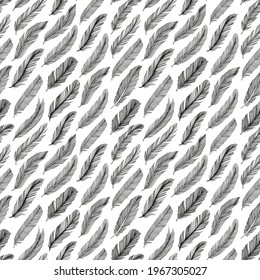 Hand drawn rustic ethnic decorative feathers. Vector seamless pattern. Tribal bird feathers ornament. Vector ink illustration isolated on white background. Ethnic boho style hand drawing