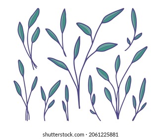 Hand Drawn Rustic Leaf Collection