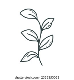 Hand drawn rustic leafy twig