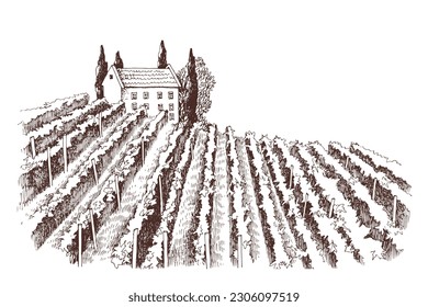 Hand drawn rustic vineyard landscape