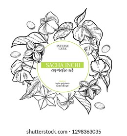 Hand drawn sacha inchi branch and fruits. Engraved vector banner. Moisturize and healing.Essential oil, aromatherapy, rich protein serum. Cosmetic package design, medicinal herb, treating, healthcare