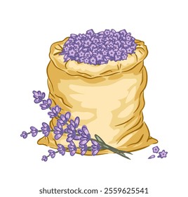 Hand drawn sack filled with vibrant purple lavender flowers on a plain background