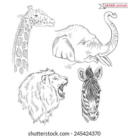 hand drawn safari animal set