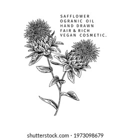 Hand drawn safflower branch. Vector engraved illustration. Spicy aromatic herb. Food ingredient, aromatherapy, cooking. For cosmetic package design, medicinal plant, treating, healthcare