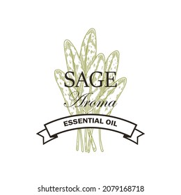 Hand drawn sage logo design. Vector illustration in sketch style