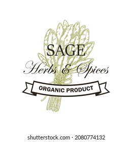 Hand drawn sage logo design. Vector illustration in sketch style