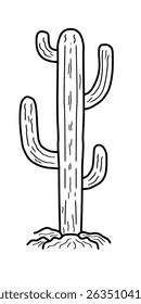 Hand drawn saguaro cactus vector illustration. Sketch style desert cactus isolated on white background