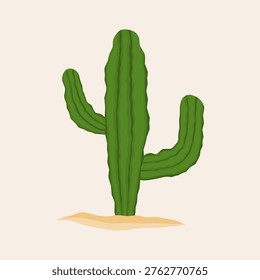 Hand drawn saguaro cactus vector illustration in desert sand. Green desert cactus doodle isolated