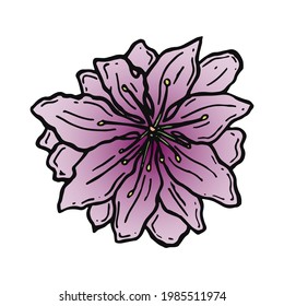 Hand drawn sakura blooming flower. Traditional japanese or chinese spring flower in ink style