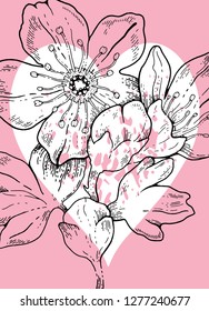 Hand drawn sakura cherry flowers whith heart background for Valentine's day gift tag, Wedding invitation, Mothers day greeting card, Birthday card. Elegant engraving style, vector illustration