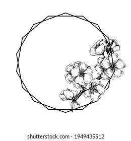 Hand drawn Sakura floral logo, frame, border, promo element. Brand emblem template. Minimalistic monogram. Rustic elegant trademark or logotypes background.