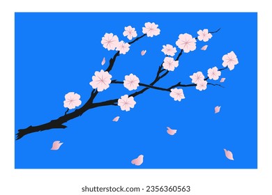 Vector de flor Sakura dibujado a mano