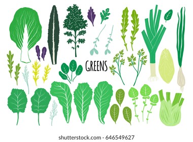 Hand drawn salad greens isolated on white background in unique trendy organic style. Vector illustration for menu design, packaging, cooking book. 