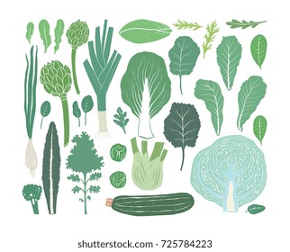 Hand drawn salad greens and leaves isolated on white background in unique trendy organic style. Vector illustration for menu design, packaging, cooking book.