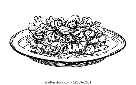 Hand drawn salad of shrimps. Sketch Style. Delicious salad with seafood and vegetables on plate on white background. Wholesome meal made of shrimps, avocado, lettuce leaves. Mediterranean Kitchen.